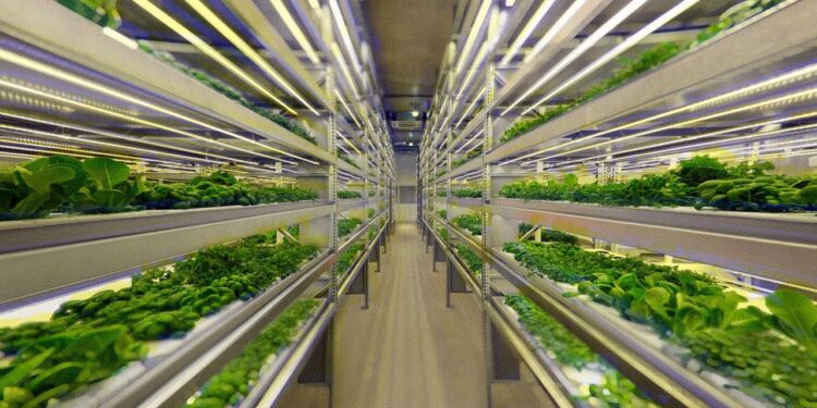 Vertical Farming Feeds Megacities