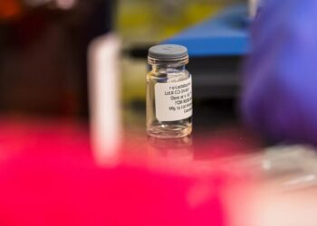 Personalized Cancer Vaccine Success