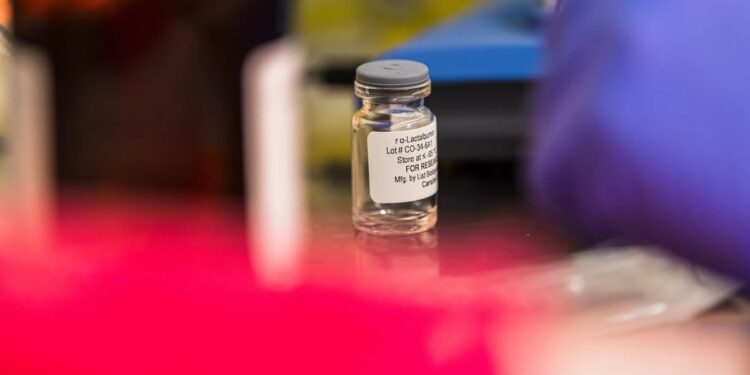 Personalized Cancer Vaccine Success